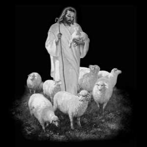 sheep jesus